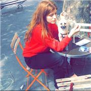 Cours de français / littérature / histoire